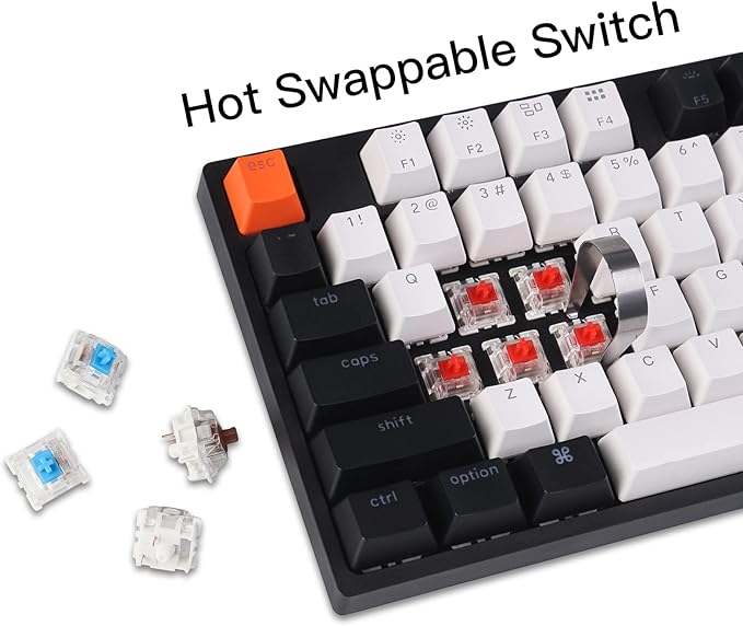 Keychron C2 Full Size Wired Mechanical Keyboard for Mac, Hot-swappable, Gateron G Pro Red Switch, White Backlight, 104 Keys ABS keycaps Gaming Keyboard for Windows,Type-C Braid Cable