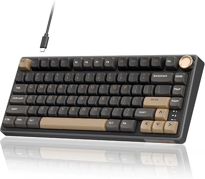RK ROYAL KLUDGE R75 Wired Gaming Keyboard with Volume Knob, 75% Mechanical Gaming Keyboard Custom Gasket Mount with MDA Profile PBT Keycaps, QMK/VIA, Hot Swappable Silver Switch, Black