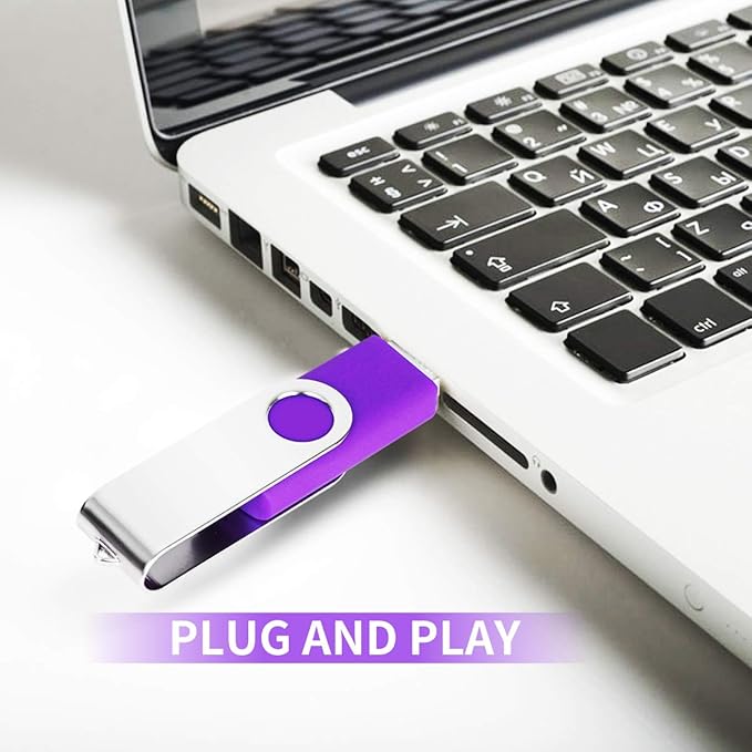 1GB USB Flash Drive 1PCS, EASTBULL USB 2.0 Thumb Drive Swivel USB Stick Memory Stick Metal Thumb Drives (Purple)