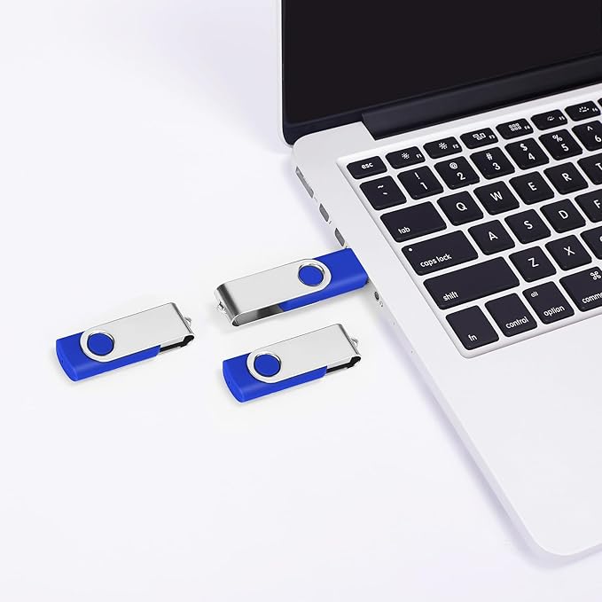 2GB USB Flash Drive 2-Pack EASTBULL USB 2.0 Drive Swivel USB Stick Memory Stick Metal Pen Drive (Black & Blue)