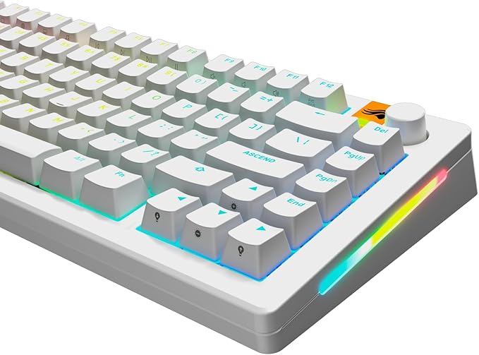 Glorious Gaming - GPBT Backlit Keycaps (White) Translucent Shine Through Legends, Fits 100%, 75% 65% 60% Custom Mechanical Gaming Keyboards, Fits ANSI, ISO, Windows & macOS, English (US)