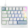 MechLands AJAZZ AK029 One Handed Gaming Keyboard, 8Khz Polling, 29 Keys Rapid Fast Wired Keyboard, SOCD & DKS, Magnetic Switch, Adjustable Actuation, RGB Backlits, Aluminum Plate (White Blue)