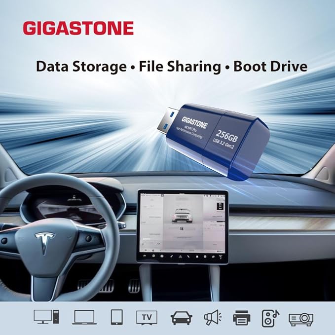 GIGASTONE Z80 256GB high Speed 1000MB/s, USB 3.2 Gen2 Solid State Drive, Capless Retractable Design Pen Drive, Carbon Fiber Style, Reliable & Durable, USB 2.0 / USB 3.0 / USB 3.1 Interface Compatible