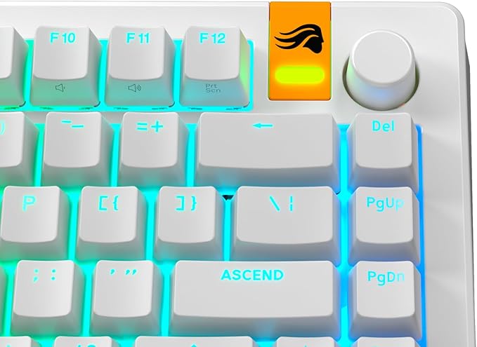 Glorious Gaming - GPBT Backlit Keycaps (White) Translucent Shine Through Legends, Fits 100%, 75% 65% 60% Custom Mechanical Gaming Keyboards, Fits ANSI, ISO, Windows & macOS, English (US)
