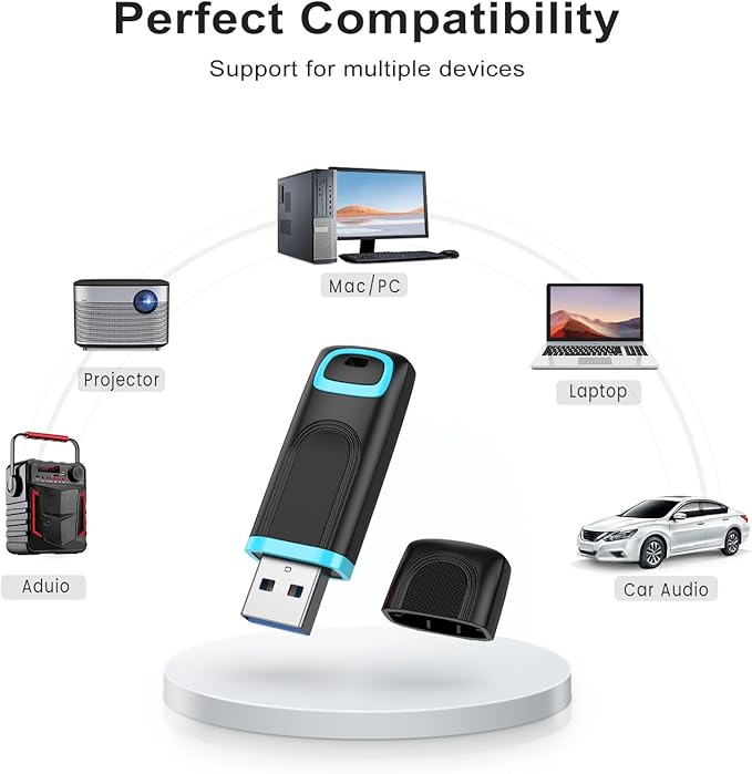 RAOYI 256GB USB 3.0 Flash Drive Thumb Drive High Speed Memory Stick Jump Drive Portable Zip Drive for PC Laptop Backup