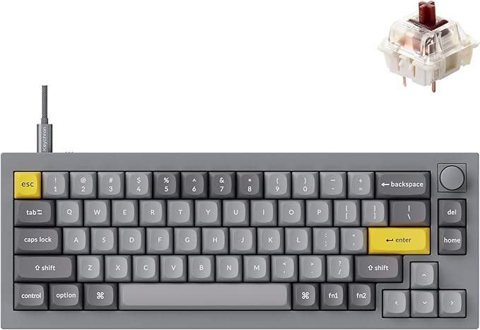 Keychron Q2 Wired Custom Mechanical Keyboard Knob Version, 65% Layout QMK/VIA Programmable Macro with Hot-swappable Gateron G Pro Brown Switch Double Gasket Compatible with Mac Windows Linux (Grey)
