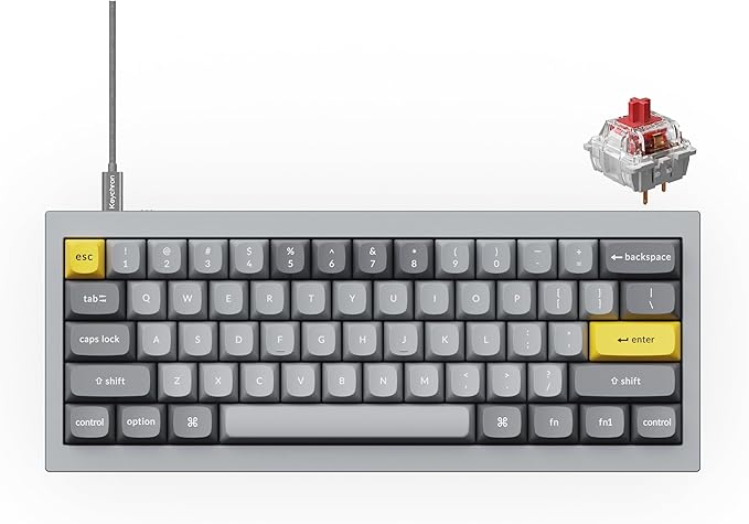Keychron Q4 Wired Custom Mechanical Keyboard, 60% Layout QMK/VIA Programmable Macro with Hot-swappable Gateron G Pro Red Switch Double Gasket Compatible with Mac Windows Linux (Gray)
