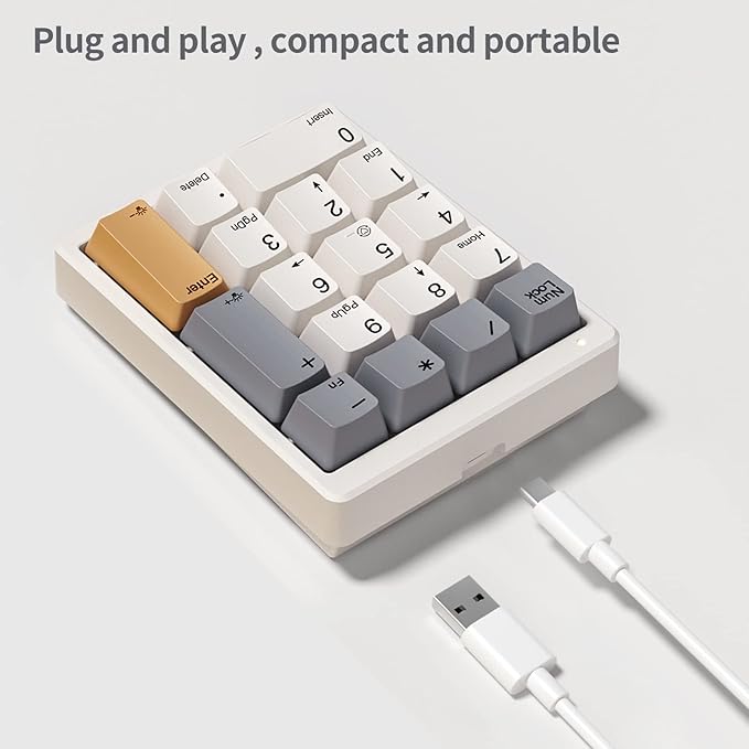 Kisnt KN17 Wired Mechanical Number Pad- 17 Keys Hot Swappable Numpad with White Backlight& PBT Keycaps for Laptop PC Compact Keyboards(Retro Beige, Blue Switch)