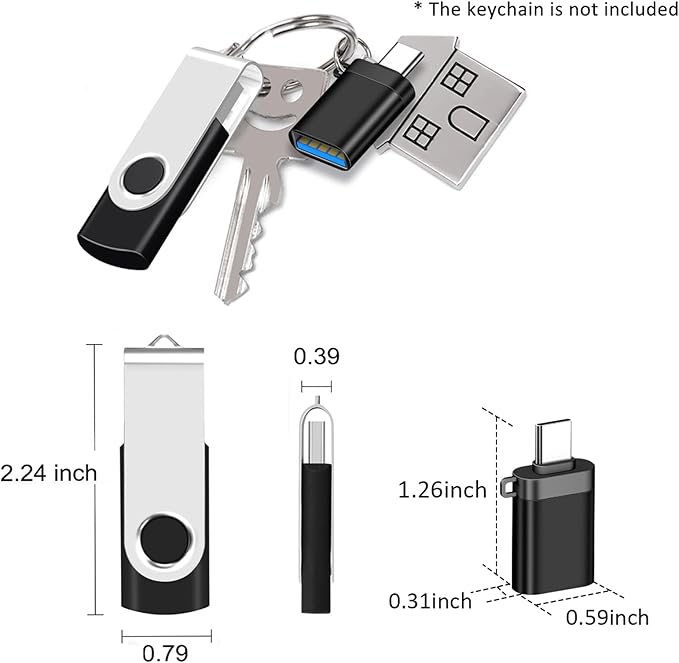 EASTBULL 2 Pack of 4GB USB 2.0 Flash Drives with 2 Type-C Adapters and Keychains, High Speed 4GB Thumb Drives 360 Rotatable Swivel (2Pcs Black)