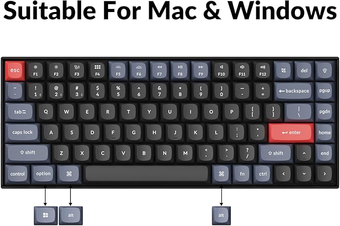 Keychron K2 Pro QMK/VIA Wireless Mechanical Keyboard, Custom Programmable Macro Wired Keyboard with Hot-Swappable K Pro Red Switch White LED Backlight PBT Keycaps for Mac Windows Linux
