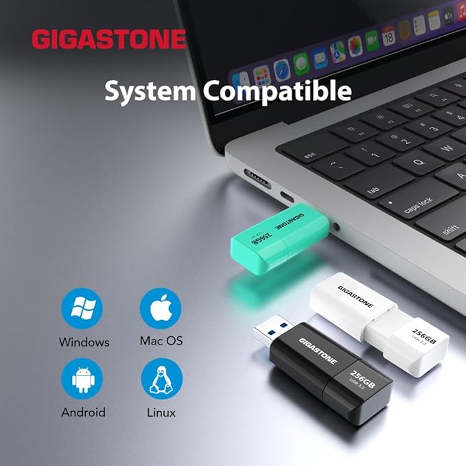 GIGASTONE 256GB Flash Drive, Z60 USB 3.2 Gen 1, 120MB/s Ultra Fast, Retractable Capless Slider Design, Data Storage, Backup for PC/Mac/TV/Car Audio, USB 2.0/3.0/3.1 Compatible