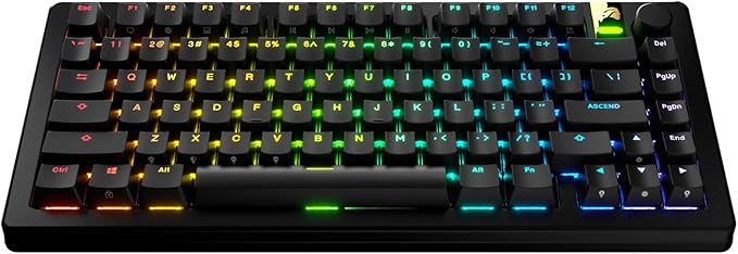 Glorious Gaming - GPBT Backlit Keycaps (Black) Translucent Shine Through Legends, Fits 100%, 75% 65% 60% Custom Mechanical Gaming Keyboards, Fits ANSI, ISO, Windows & macOS, English (US)