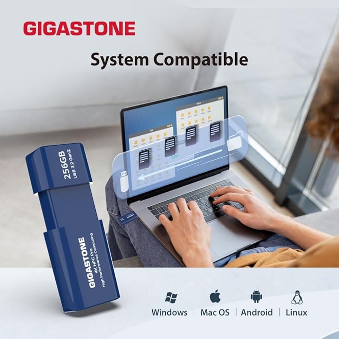 GIGASTONE Z80 256GB 2Pk USB 3.2 Gen2 Solid State Drive, High Speed 1000MB/s, Capless Retractable Design Pen Drive, Carbon Fiber Style, Reliable & Durable, USB 2.0/3.0/3.1 Compatible