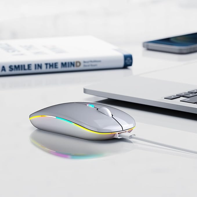 Wireless Bluetooth Mouse, Rechargeable, LED, Silent, Ultra-thin Design (Bluetooth 5.2 and 2.4GHz USB Receiver) | Portable Computer Mouse for Laptops, iPads, MacBooks and Apple Devices (Silver)