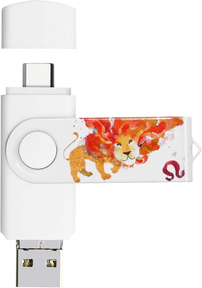 3.1 256GB 3 in1 High Speed Photo Backup Flash Drive for iPhone 15/16/17 wtih Type C/USB-C Port,Photo-Stick-for Android Phones with OTG Function
