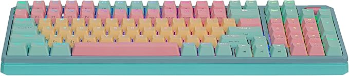 Cooler Master MK770 Macaron Wireless Mechanical RGB Gaming Keyboard, Kailh Box V2 Click White Switches, Gasket Structure, Hot-Swappable, Bluetooth|2.4GHz, Tactile 3-Way Dial, QWERTY (MK-770-MCKW1-US)