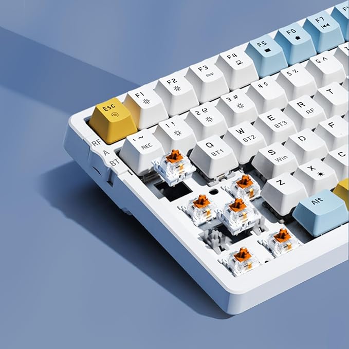 Merdia Wireless Mechanical Keyboard, Triple Mode 2.4G/USB-C/BT Gaming Keyboards 100 Keys Ice-Blue Backlit Brown Switch Keyboard | Rechargeable Mechanical Gaming Keyboards | Ice Blue/W/Y