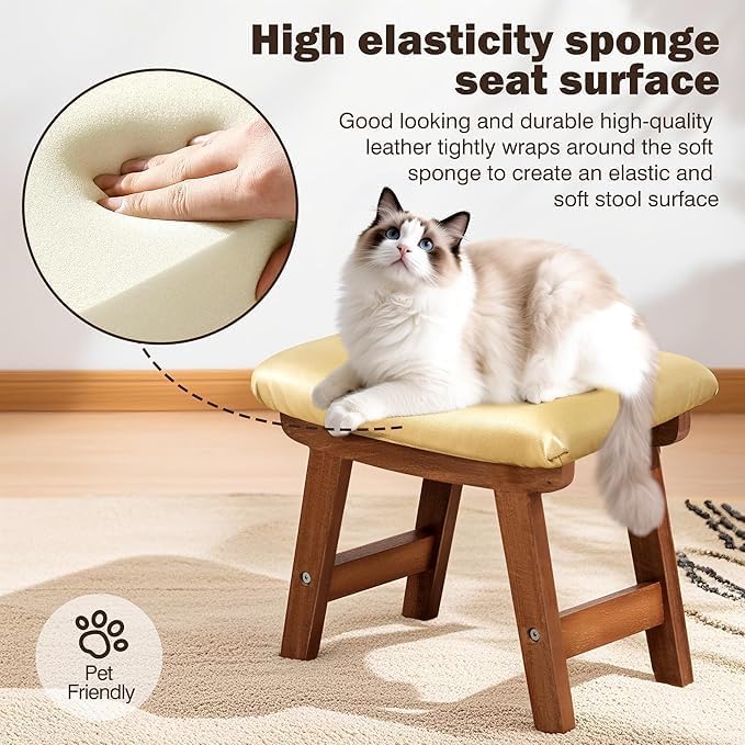 Sosola Foot Stool with Leather Cover,Foot Rest Made of Wooden for Couch,Bench,Sofa,Under Office Desk (Golden)