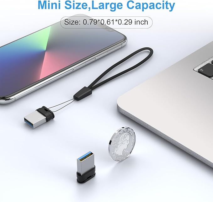 RAOYI USB Stick 256GB USB 3.0 Flash Drive with Lanyard, 256G Mini Fit Memory Stick Ultra Slim Thumb Drive Zip Drive for PC Desktop-Black