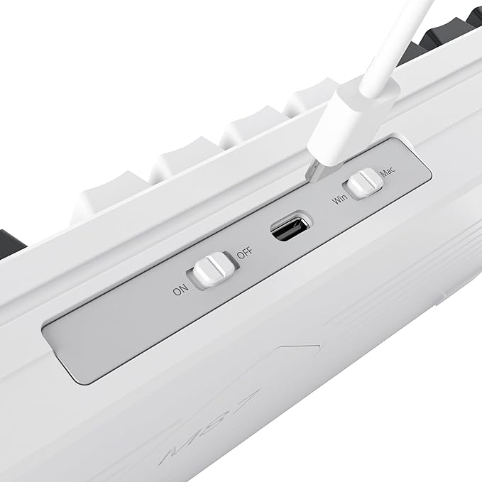 Owpkeenthy 75 Percent Gaming Keyboard Gasket Mounted with Pre-lubed White Switch, 87 Key Wired Mechanical Keyboard Hot Swappable RGB Backlit for MAC Win (R-Purple)