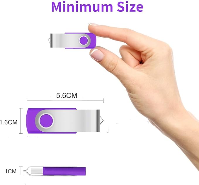 1GB USB Flash Drive 1PCS, EASTBULL USB 2.0 Thumb Drive Swivel USB Stick Memory Stick Metal Thumb Drives (Purple)