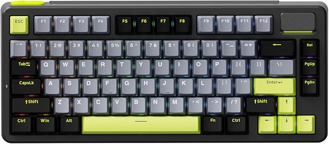 Rapoo V700DIY-75 Wireless Mechanical Keyboard, BT5.0 + 2.4GHz, Hot Swappable Custom Gaming Keyboard, Speed Silver Linear Switch, 16.8M Per-Key RGB, Gasket Mount, Creamy Sound, Full NKRO Anti-Ghosting