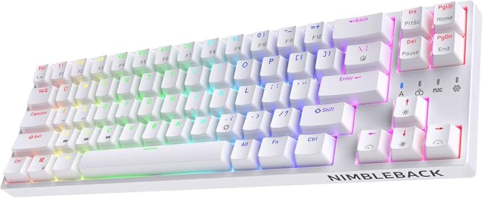 LTC NB681 Nimbleback Wired 65% Mechanical Keyboard, RGB Backlit Ultra-Compact 68 Keys Gaming Keyboard with Hot-Swappable Switch and Stand-Alone Arrow/Control Keys (Hot Swappable Blue Switch, White)
