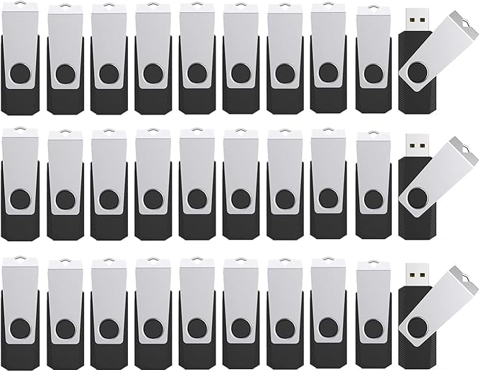 4GB Flash Drives 100 Pack, Wooolken USB 2.0 Thumb Drive with Lanyards Bulk USB Sticks for Weddings,Office, School, Data Storage Backup