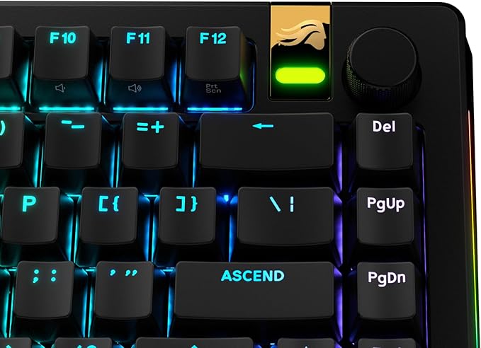 Glorious Gaming - GPBT Backlit Keycaps (Black) Translucent Shine Through Legends, Fits 100%, 75% 65% 60% Custom Mechanical Gaming Keyboards, Fits ANSI, ISO, Windows & macOS, English (US)