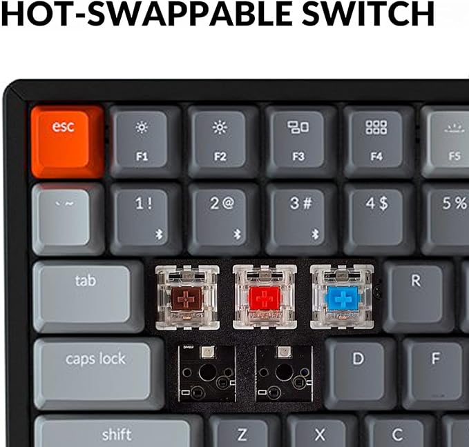 Keychron K4 Bluetooth Wireless Mechanical Keyboard RGB LED Backlit, Hot-swappable Compact 100 Keys USB Wired Computer Gaming Keyboard Aluminum Frame for Mac Windows, Gateron Brown Switch