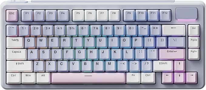 Rapoo V700DIY-75 Wireless Mechanical Keyboard, BT5.0 + 2.4GHz, Hot Swappable Custom Gaming Keyboard, Speed Silver Linear Switch, 16.8M Per-Key RGB, Gasket Mount, Creamy Sound, Full NKRO Anti-Ghosting