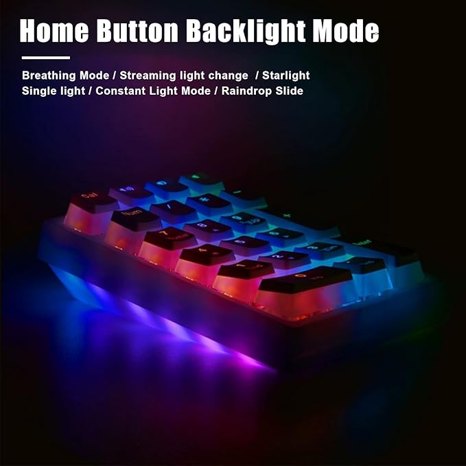 BOYI TD21 HotSwap Mechanical Numeric Keypads,21 Keys Mini Numpad Portable Keypad BT5.0/2.4G/Wired Keyboard RGB Number Pad Wireless Numeric Keypad(Black Color with OEM Profile PBT Pudding Keycaps)