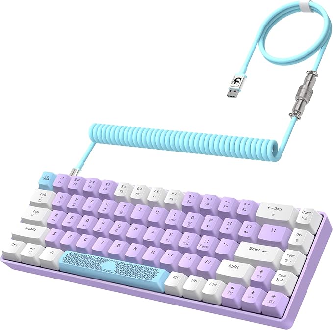 ZIYOU LANG RK-T8 Wired 65% Mechanical Gaming Keyboard with RGB LED Backlit Anti-ghosting TKL Mini 68 Key Custom Coiled C to A Cable Tactile Blue Switch for PS4 PS5 Xbox PC Mac Gamer(Lavender)