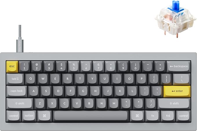 Keychron Q4 Wired Custom Mechanical Keyboard, QMK/VIA Programmable Macro, Full Aluminum, Hot-Swappable Gateron G Pro Blue Switch, 60% Layout Double Gasket Compatible with Mac and Windows - Blue