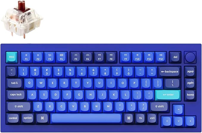 Keychron Q1 RGB Wired Custom Mechanical Keyboard, 75% Layout RGB Backlight with Hot-swappable Gateron G Pro Brown Switch Double Gasket Compatible with Mac Windows Linux (Blue) -Version 2