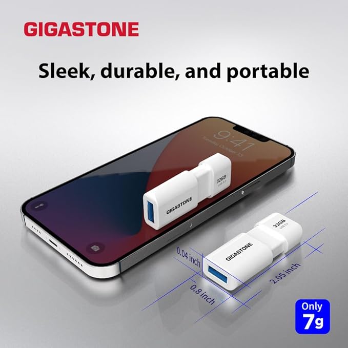 GIGASTONE 256GB Flash Drive, Z60 USB 3.2 Gen 1, 120MB/s Ultra Fast, Retractable Capless Slider Design, Data Storage, Backup for PC/Mac/TV/Car Audio, USB 2.0/3.0/3.1 Compatible