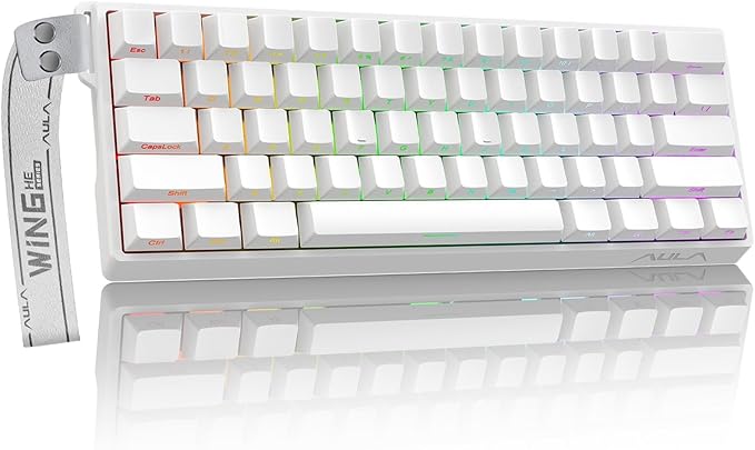 Aula WIN60 HE 60% Mechanical Keyboard Wired, Hall Effect Gaming Keyboard Magnetic Switch Hot Swappable, Adjustable Actuation Rapid Trigger Mode 8000Hz Polling Rate, RGB Keyboard 60 Percent Design