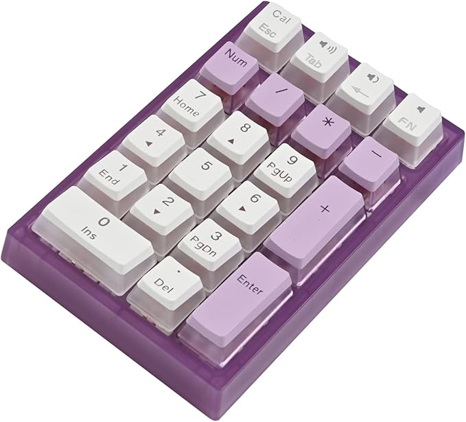 BOYI TD21 HotSwap Mechanical Numeric Keypads,21 Keys Mini Numpad Portable Keypad BT5.0/2.4G/Wired Keyboard RGB Number Pad Wireless Numeric Keypad(Purple Color with OEM Profile Pudding Keycaps)