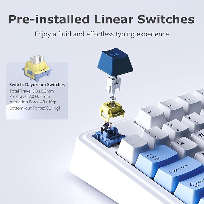 FIRSTBLOOD ONLY GAME. AK980 101-Key Hot-Swappable Mechanical Keyboard, Gasket Mount RGB Backlit, Programmable Macro, Full N-Key Rollover, with Dreamscape Linear Switches (Glacier Blue)