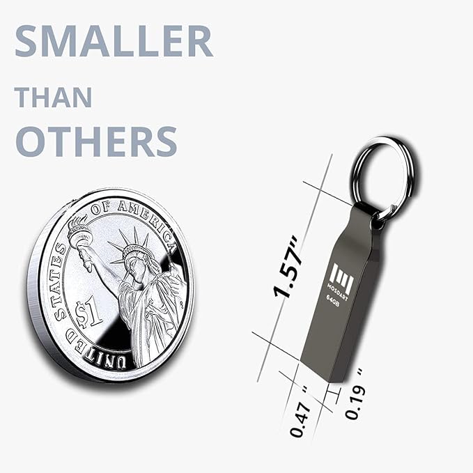 MOSDART Waterproof 64GB USB2.0 Flash Drive, exFAT Metal Memory Stick with Keychain, for System Back, Data Storage, Titan Gray(Pack of 2)
