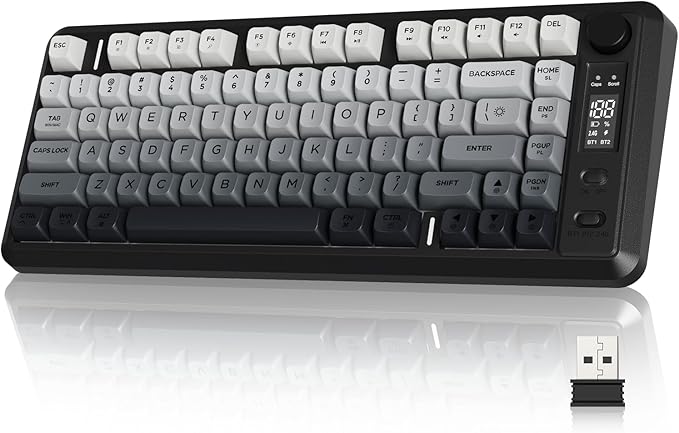 ZIYOU LANG M75 Wireless Gaming Keyboard, RGB Backlit Rechargeable 2000mAh Battery, Small Membrane But Mechanical Feel Keyboard with Smart Display & Knob, PBT Gradient keycaps for PC, MAC-Moonlit Night