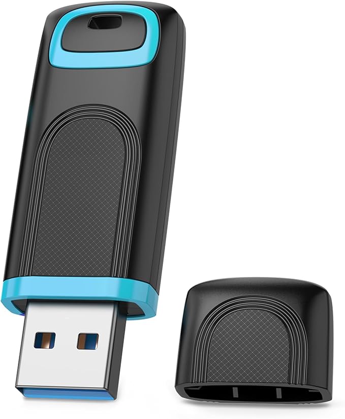 RAOYI 256GB USB 3.0 Flash Drive Thumb Drive High Speed Memory Stick Jump Drive Portable Zip Drive for PC Laptop Backup