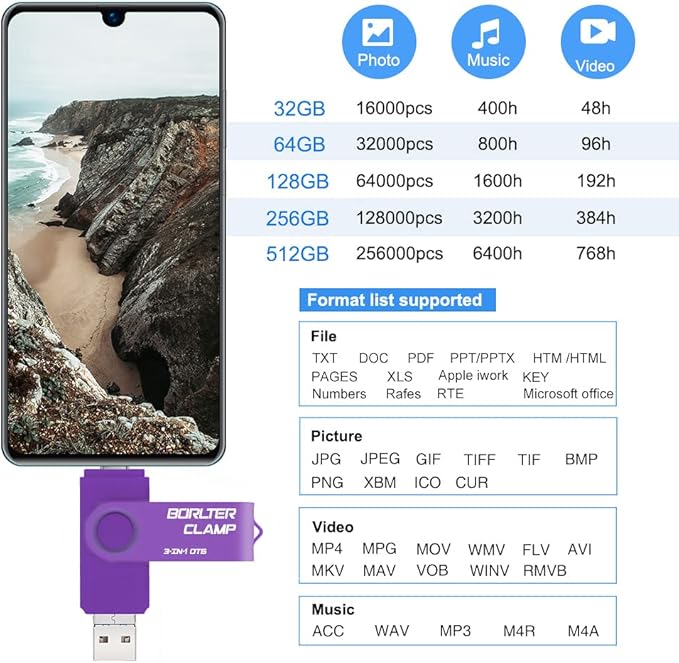 256GB 3 in 1 USB 3.0 Flash Drive Photo Stick for Android Phones, BorlterClamp OTG Memory Stick with 3 USB Ports (USB C, microUSB, USB A) for Samsung Galaxy, LG, Tablets, PC and More, Purple