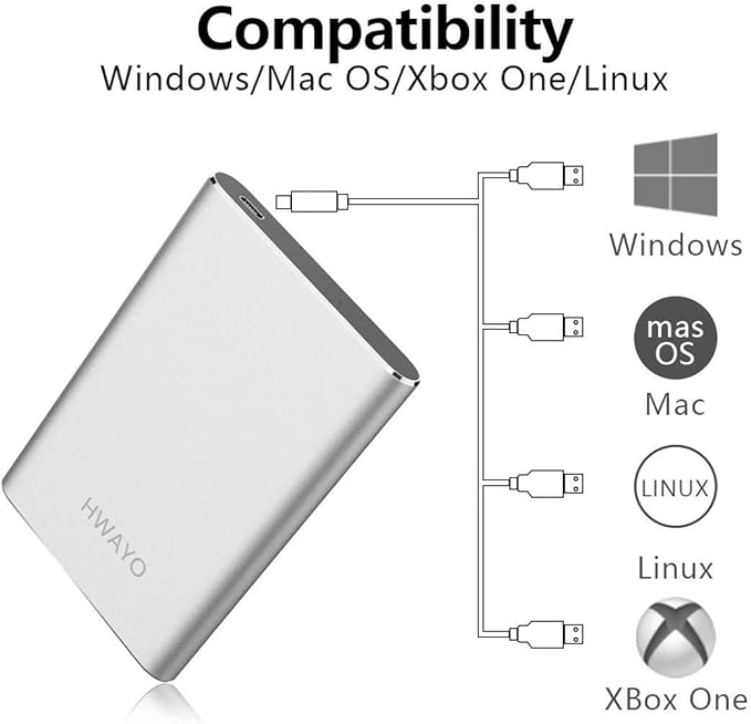 HWAYO 160GB Portable External Hard Drive, USB3.1 Gen 1 Type C Ultra Slim 2.5'' HDD Storage Compatible for PC, Desktop, Laptop, Mac, Xbox One (Silver)