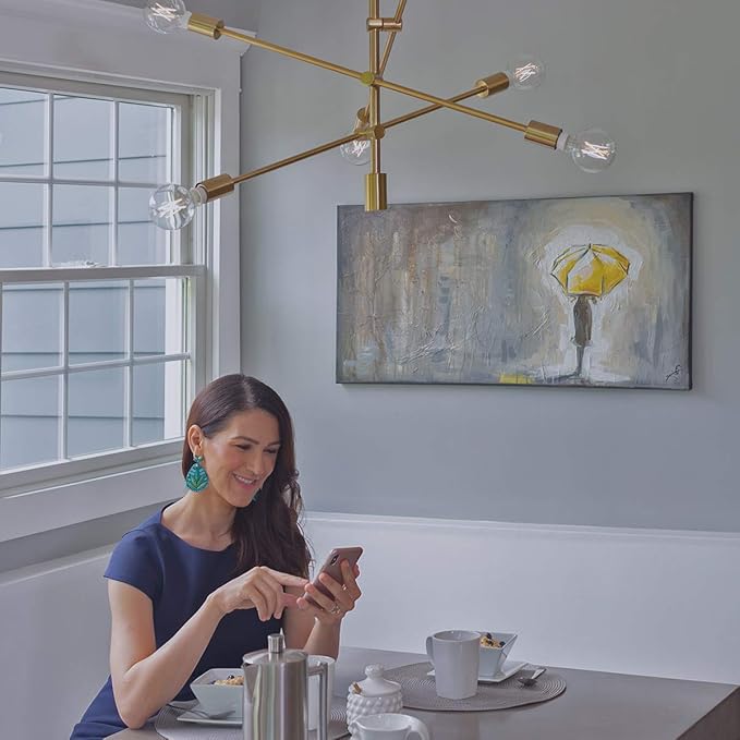 Bulbrite Solana G25 WIFI Connected Edison Filament LED Smart Light Bulb, Clear
