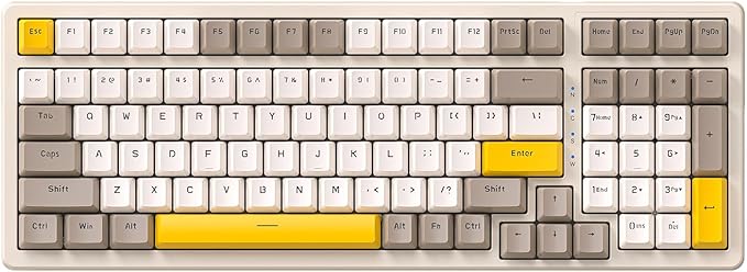 Ajazz Mechanical Gaming Keyboard, Hot Swappable with Numeric Pad, Compact USB Wired 100 Keys, Double-Shot ABS Keycaps, N-Key Rollover RGB Custom for PC Mac (MX Blue)