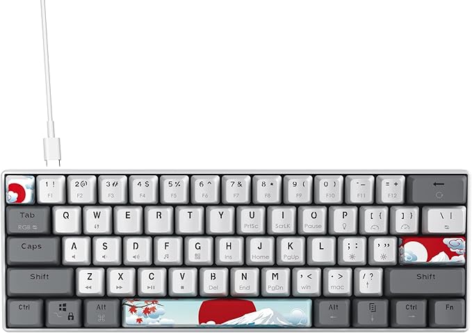 Owpkeenthy RGB Mechanical Keyboard 60 Percent Red Switches, Ultra-Compact Mini Wired Gaming Keybaord with Backlit PBT Dye-Sub Keycaps for Win/Mac/PC (White/Red Switch)