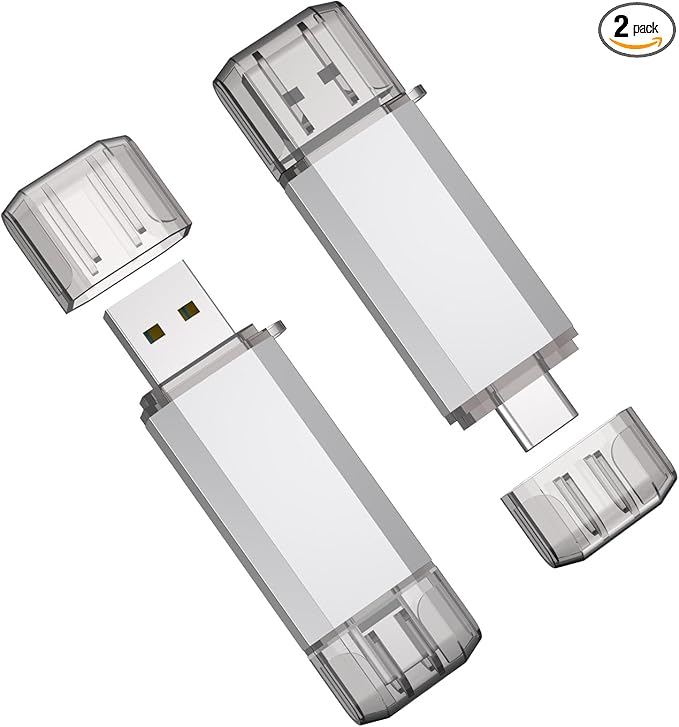 RAOYI 2 Pack 32GB USB C Flash Drive, 2 in 1 USB 3.0 Type C Dual OTG Metal Thumb Drive Jump Drive Memory Stick with Keychain Suitable for USB-C Smartphones, MacBook, Computers and Tablets (Silver)