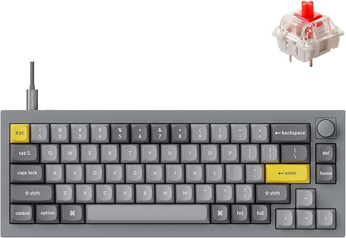 Keychron Q2 Wired Custom Mechanical Keyboard Knob Version, 65% Layout QMK/VIA Programmable Macro with Hot-swappable Gateron G Pro Red Switch Double Gasket Compatible with Mac Windows Linux (Grey)