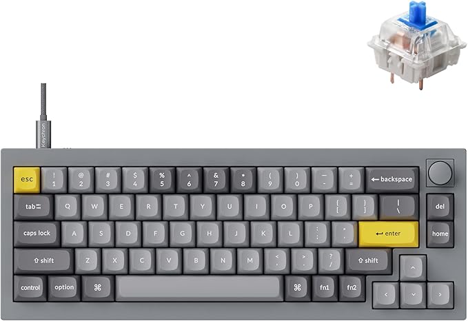 Keychron Q2 Wired Custom Mechanical Keyboard Knob Version, 65% Layout QMK/VIA Programmable Macro with Hot-swappable Gateron G Pro Blue Switch Double Gasket Compatible with Mac Windows Linux (Grey)